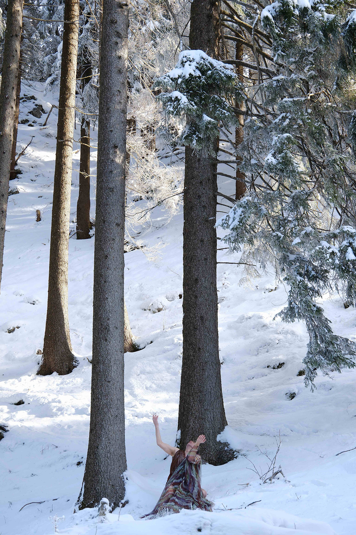 Alexander Wenzlik | Dionyzoé, Winter | © Sebastian Korp